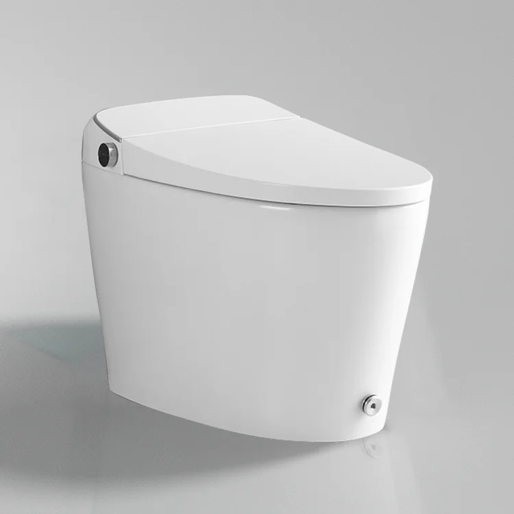 الحمام 220 فولت تجفيف الهواء الدافئ Wc ذكي صوان الاستشعار التلقائي فلاشينغ الكهربائية Tankless مرحاض ذكي