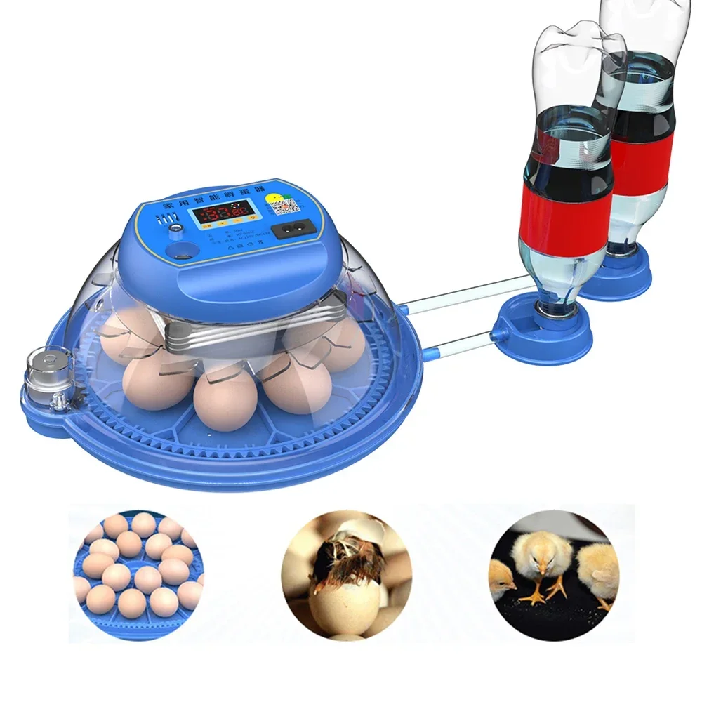 8/33 Eggs Incubator Automatic Turning Incubator With Automatic Water Replenishment Temperature Control for Bird Chicken Quail