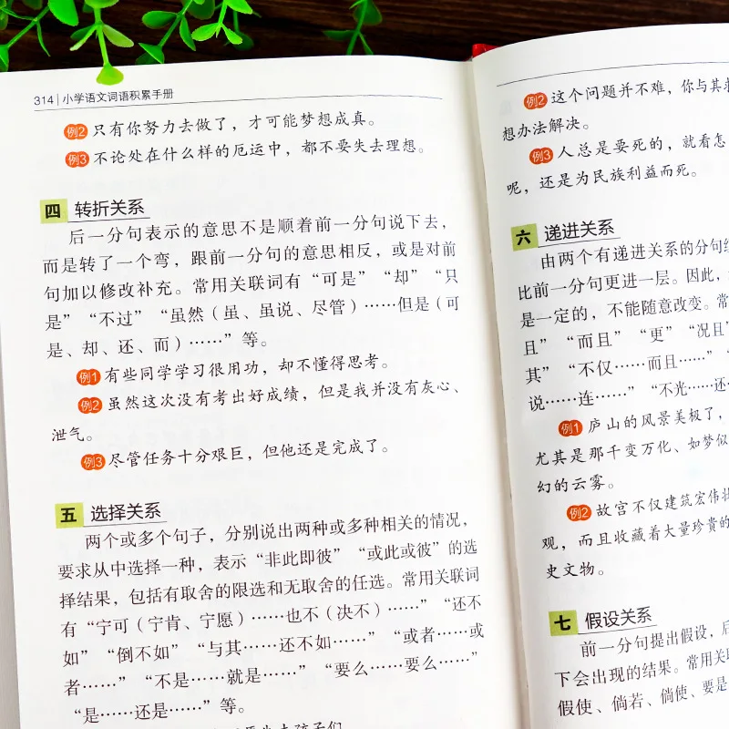 Pupils Often Have Reference Books, Chinese Vocabulary Accumulation, English Vocabulary, Mathematical Formulas and Laws