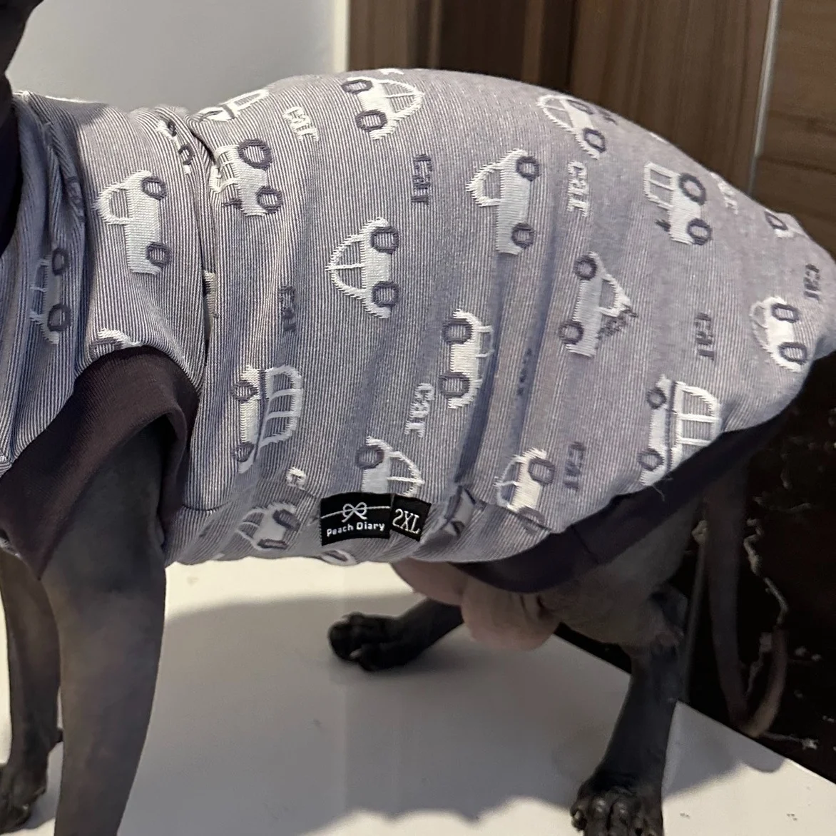 Cartoon Cars T-shirt for Sphynx Cat Short Sleeves Summer Cotton Coat for Devon Rex Soft Grey Jumpsuit for Hairless Cat in Spring view 4
