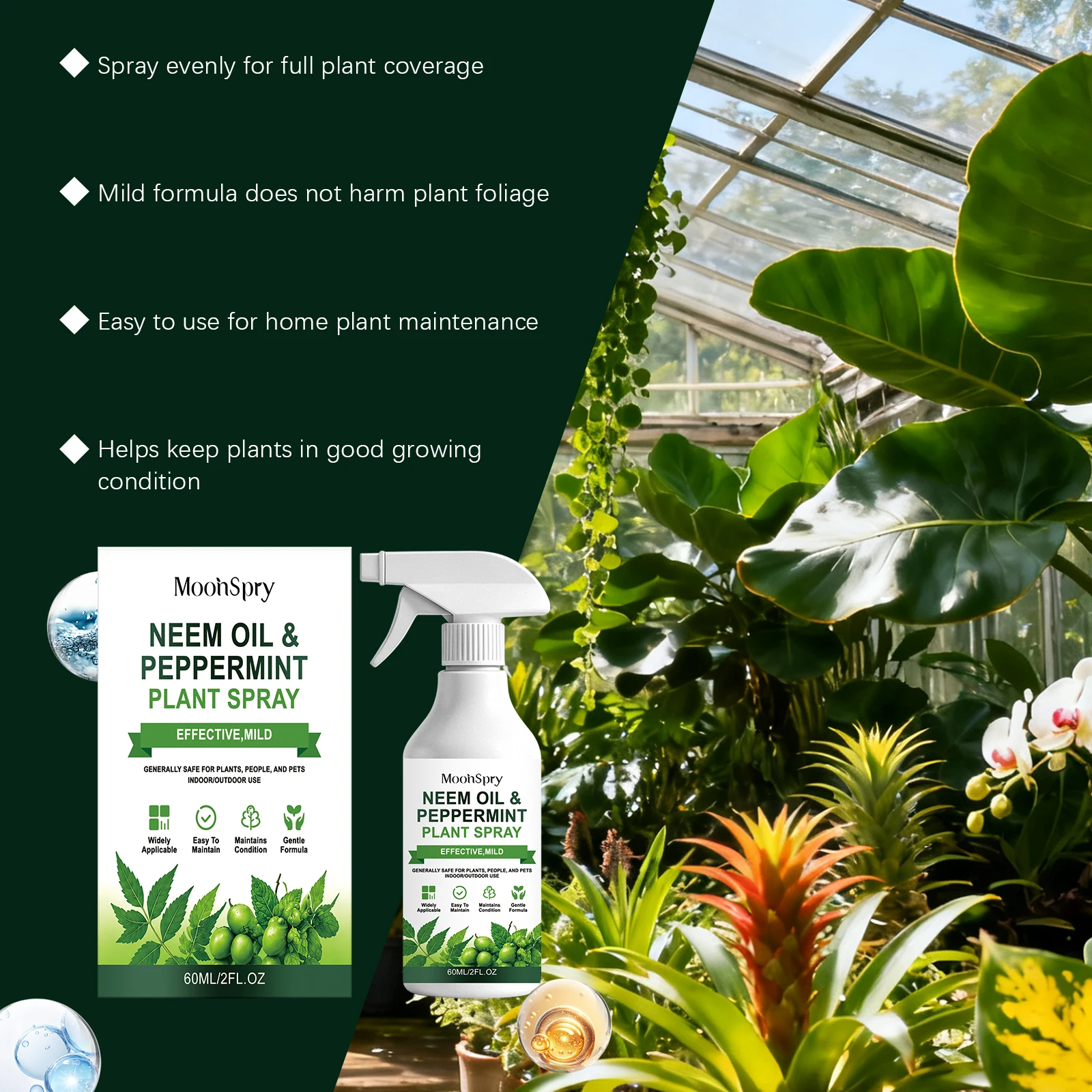 สเปรย์น้ำมันสะเดาผสมมิ้นท์ น้ำ - Rooting Hormone Powder บทวิจารณ์และราคา