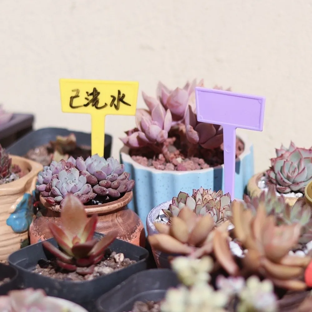 10/12PCS Plug in Card Thickened Plant Label Tag Waterproof Sunproof Stake Tags Colorful Lightfast Markers Label Seedlings Tray