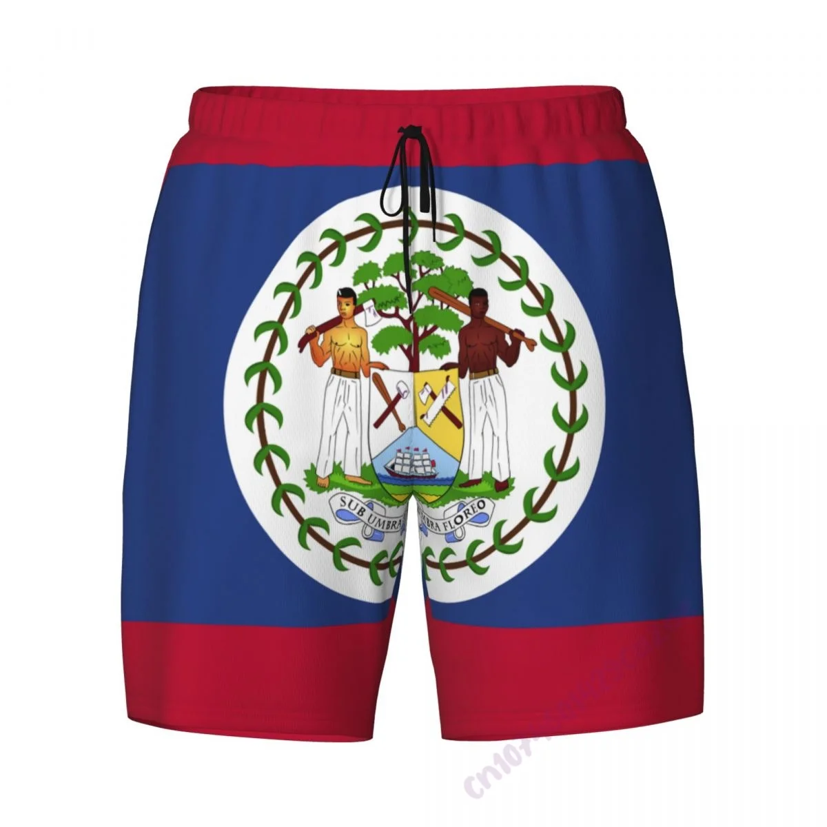 Belize Flag 3D Mens Swimming Trunks With Compression Liner 2 in 1 Quick-Dry Summer Swim Shorts With Pockets