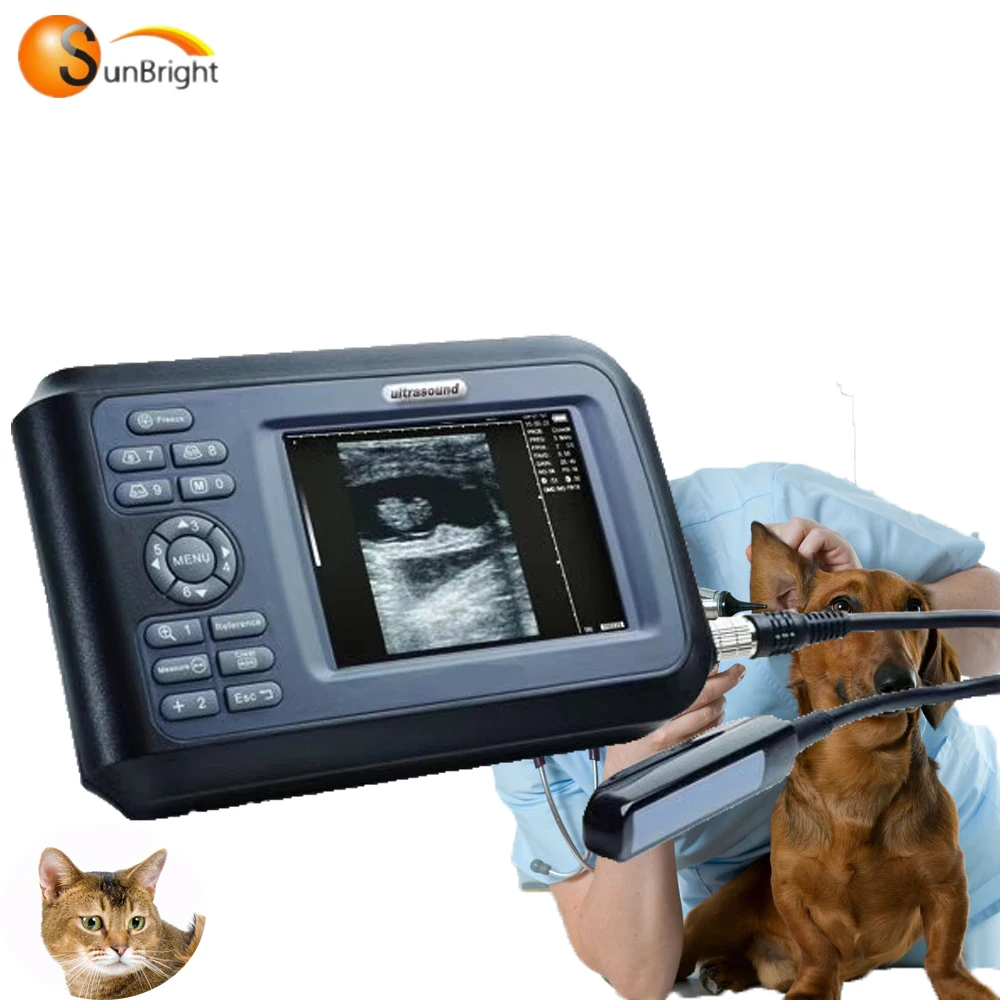 

Portable full digital veterinary handheld ultrasound for cow pregnancy test