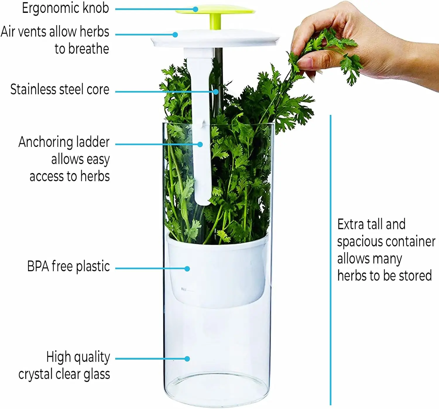 Refrigerator Herb Crisper Saver Pod Container Vegetable Preserving Bottle Keep Herb/Cilantro/Mint/Parsley/Asparagus Fresh Green