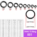 TN95 TS set 001
