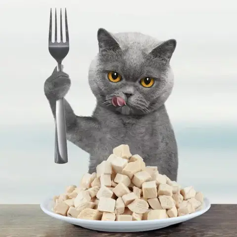 동결 건조 닭 고양이 개 사료, 동결 건조 닭 과립, 영양이 풍부한 애완 동물 건조 식품, 애완 동물 용품, 20g, 50g