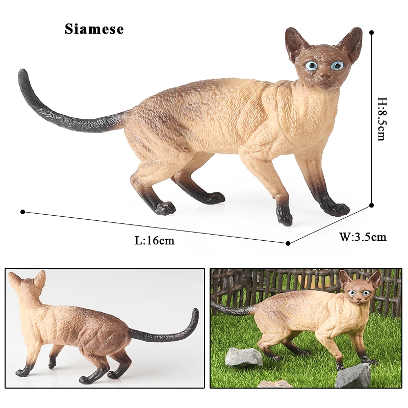 Oenux Cat Model Action Figure Siamese Sphynx Persian Cat MaineCoon Kitty Figurine Cute Home Decoration Educational Kids Toy Gift