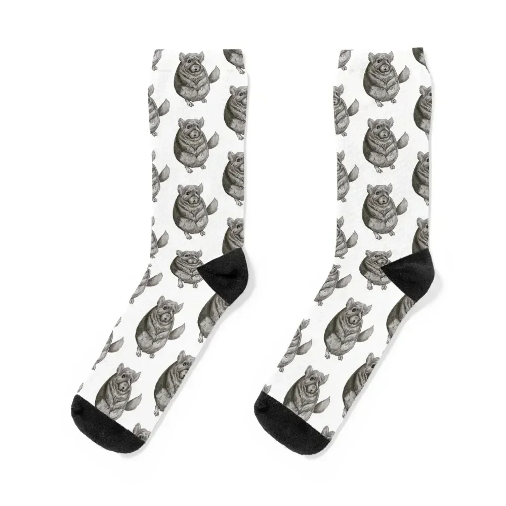 

Cute Chinchilla Socks New year's Rugby funny sock gifts Woman Socks Men's