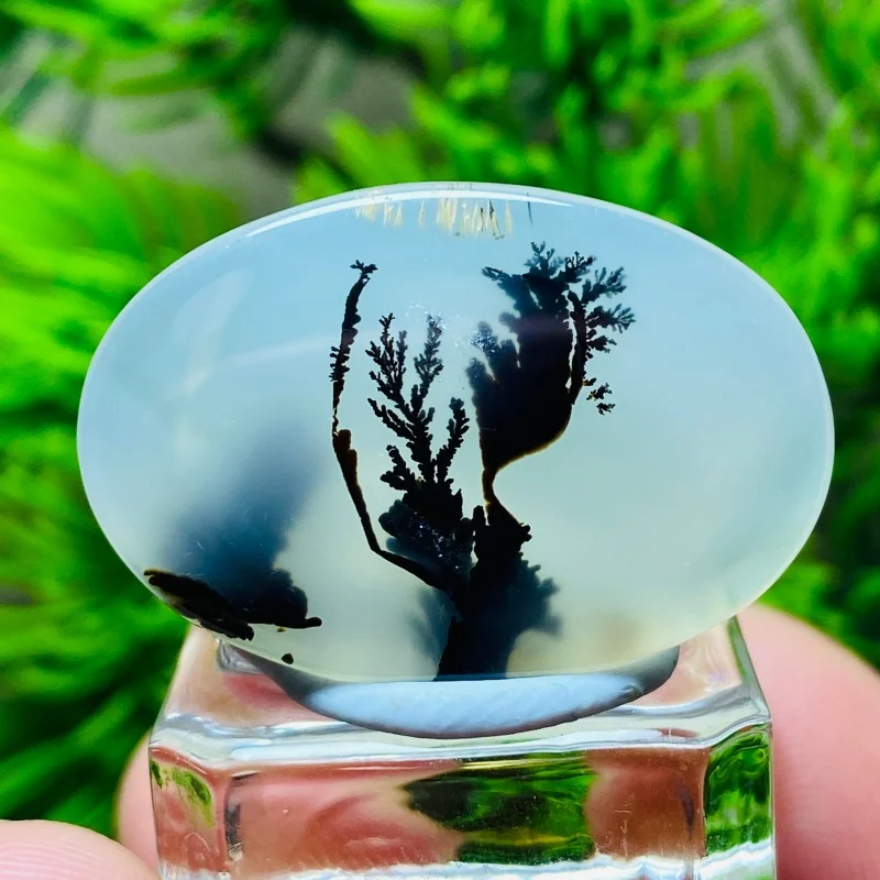 Natural Dendritic Agate Crystal Slice Energy Reiki Spiritual Meditation Healing Home Feng Shui Decoration+Bracket