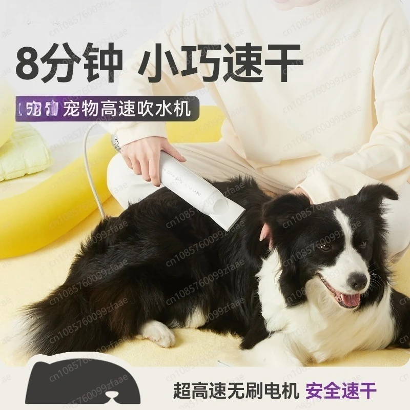 

Pet water dryer, dog hair dryer, high-speed high-power silent, special for large dogs and cats, drying and blowing hair