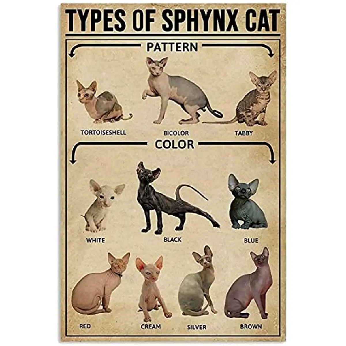 Types Of Sphynx Cat Knowledge Metal Tin Sign Restaurant Cafe Living Room Kitchen Toilet Decorative Wall Printing Poster Plaque