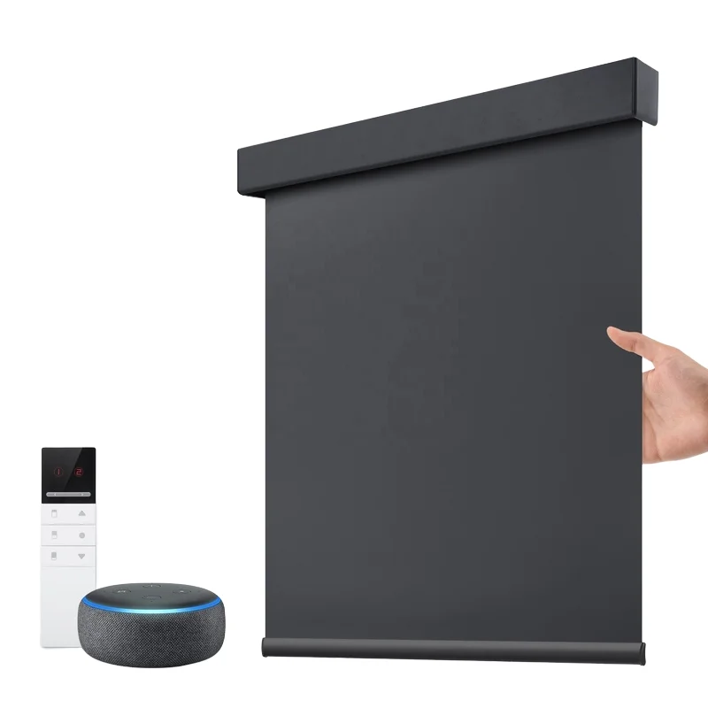 Wifi Control Motorized Zebra Roller Window Blinds Motorized Blind Automatic Smart Roller Blinds Shade for Home