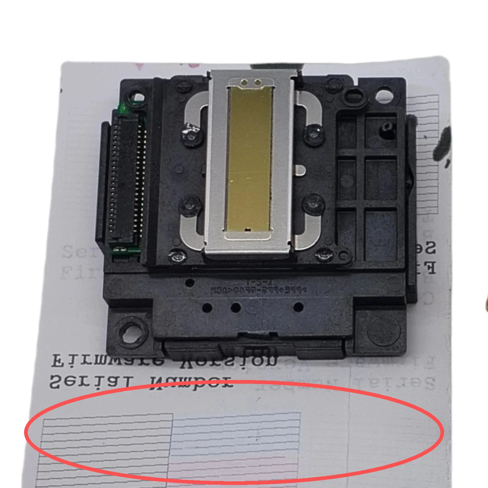 

Only Print Black Printer Print Head Fits For Epson XP 255 344 345 323 335 325 303 300 247 245 320 306 322 241 315 332 352 330