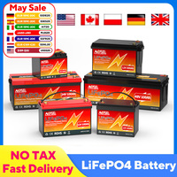 6Ah 10Ah 12Ah 20Ah 30Ah 12V 100Ah LiFePO4 Battery Pack BMS 200Ah 300Ah Lithium Iron Phosphate Rechargeable Battery Bateria