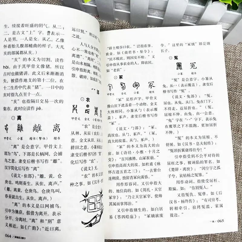 The Newly Compiled Shuowen Jiezi Full Version Of The Language And Chinese Characters Research Reference Book