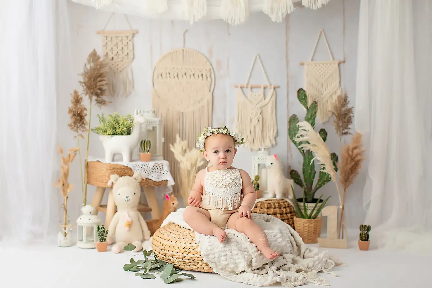 Bohemian Decoration Backdrops Cake Smash Kids Baby Photography Props Child Adult  Decors Desert Alpaca Photo Backgrounds