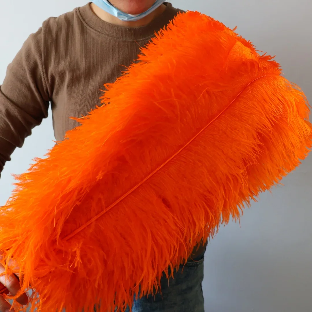 

10PCS Big Ostrich Feathers Orange Long Plumas For DIY Fashion Crafting Carnival Masquerade Decoration