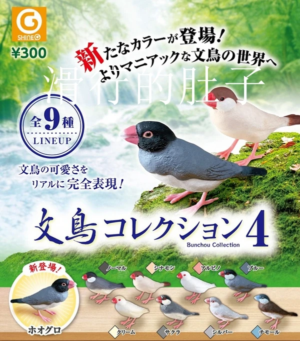 SHINE-G Japan Gashapon Figure Cute Kawaii Mannikin Bird Chickadees Titmouse Figurine Anime Gachapon Capsule Toys Desktop Decor