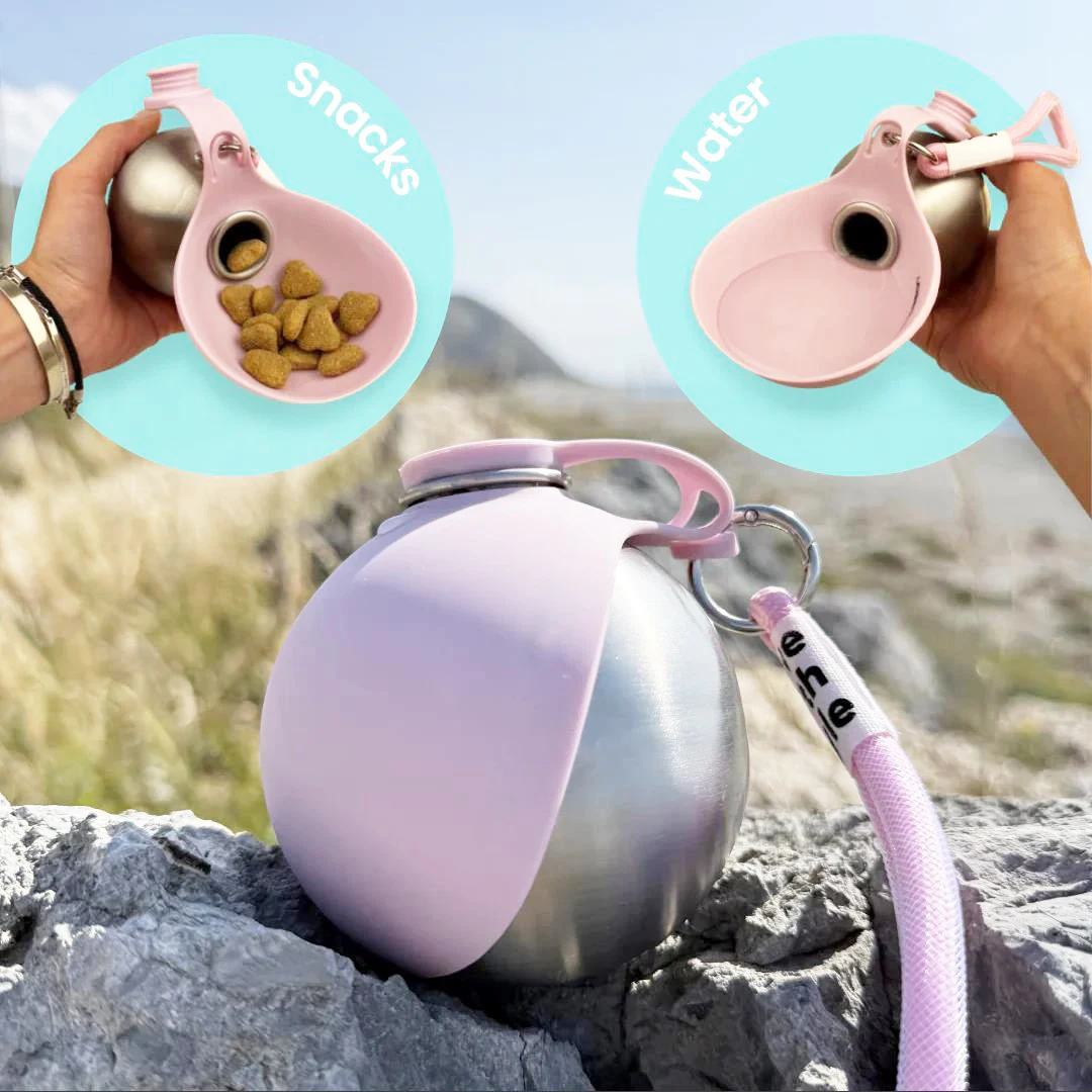 #21 Best Portable Puppy Water Bottles to Buy In 2026