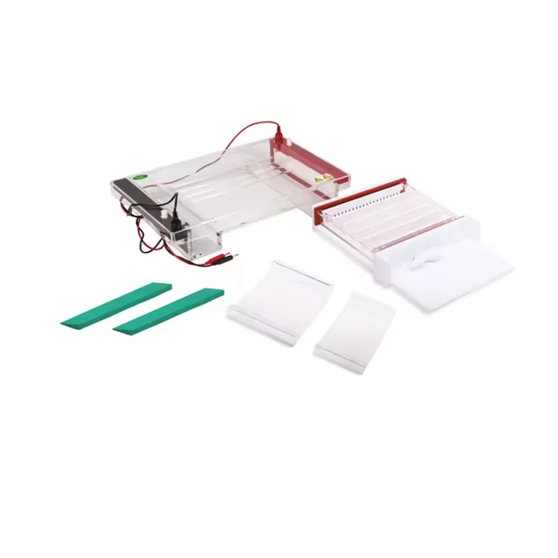 BIOSTELLAR Biochemical Sickle Cell Manufacture Cellulose Acetate Membrane Electrophoresis Tank For Lab