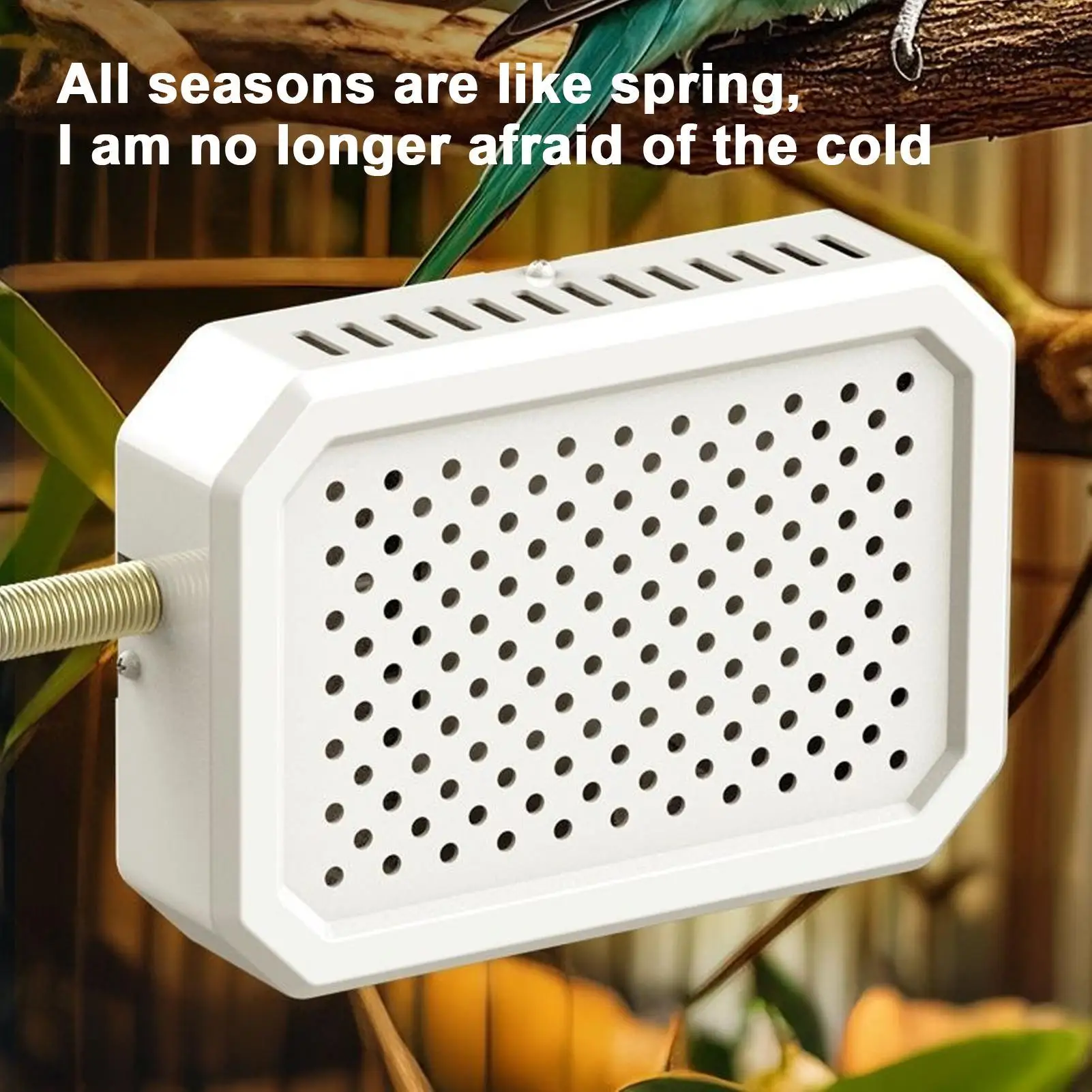 Calentador de jaula para pájaros, calentador termostático para pollitos, suministros para hábitat de aves de corral, guacamayo, periquito, pollo de Guinea, lagarto, glaseado