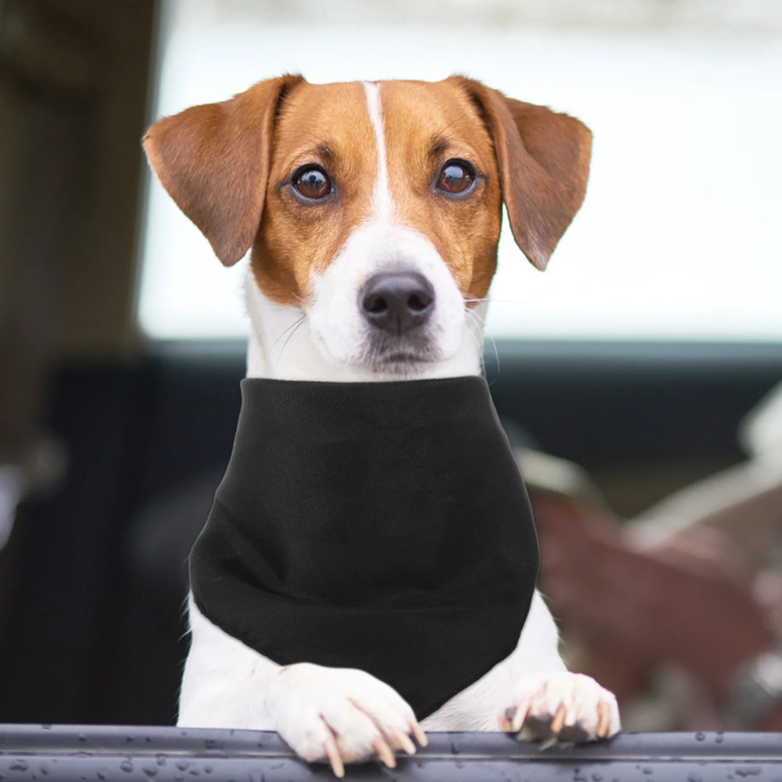 

4pcs Dog Bandana Large Size Polyester Pet Scarf Adjustable Triangle Decor For Dogs Outdoor Party Photo Prop Accessory