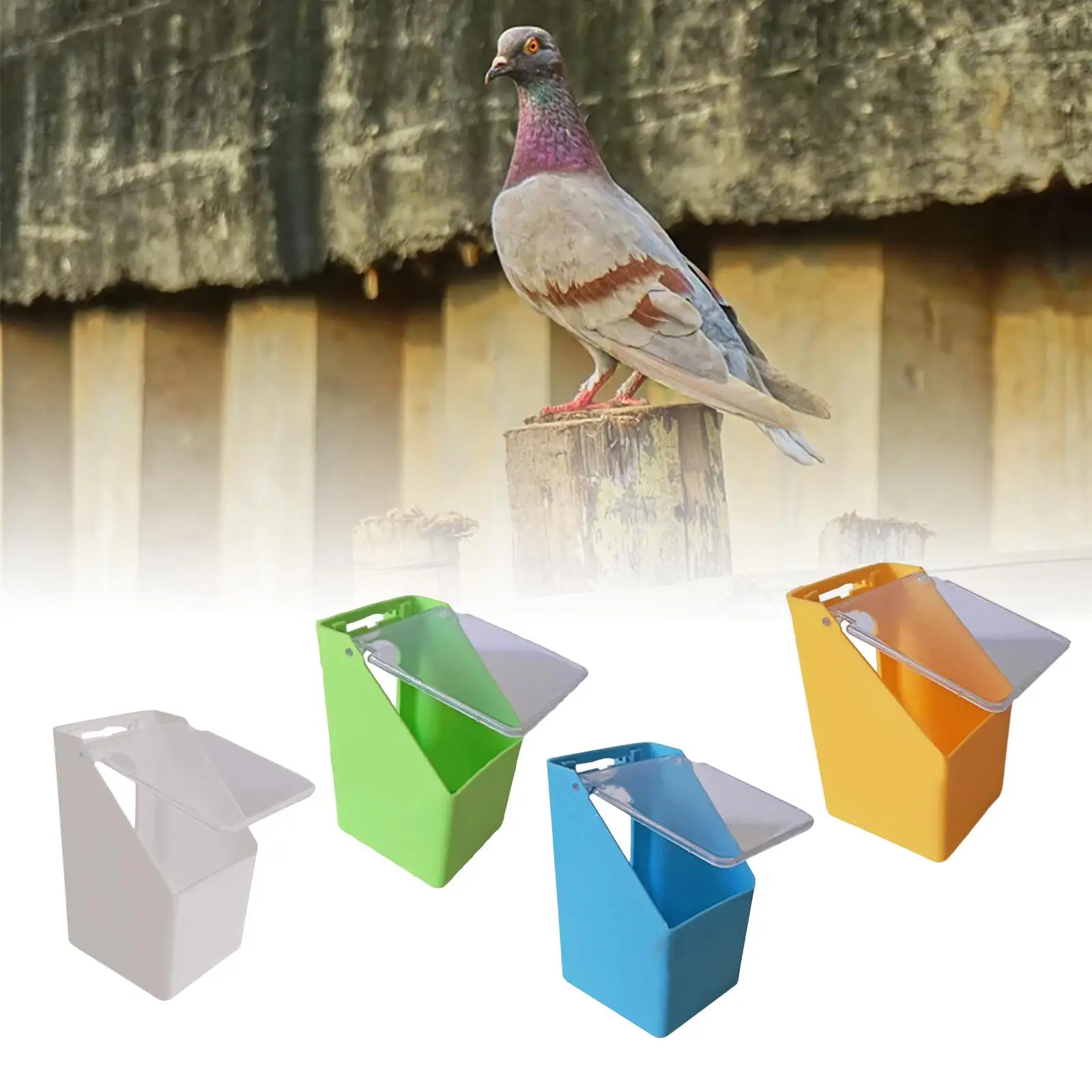 Creative Bird Food Feeder Hanging Box Clear Cover for Pigeon Small Birds