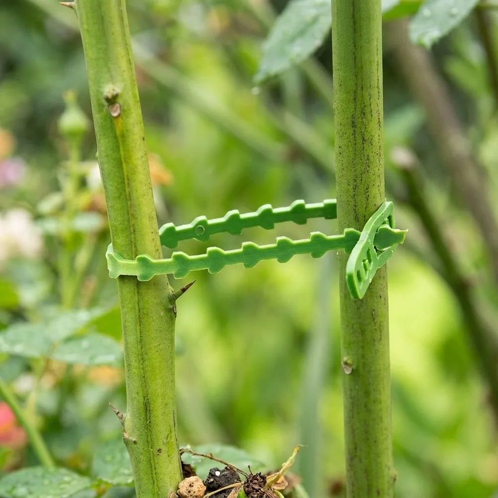 200PCS Adjustable Plant Ties With Elastic Garden Twist Straps For Plant Support Gardening Binding Line Shaping