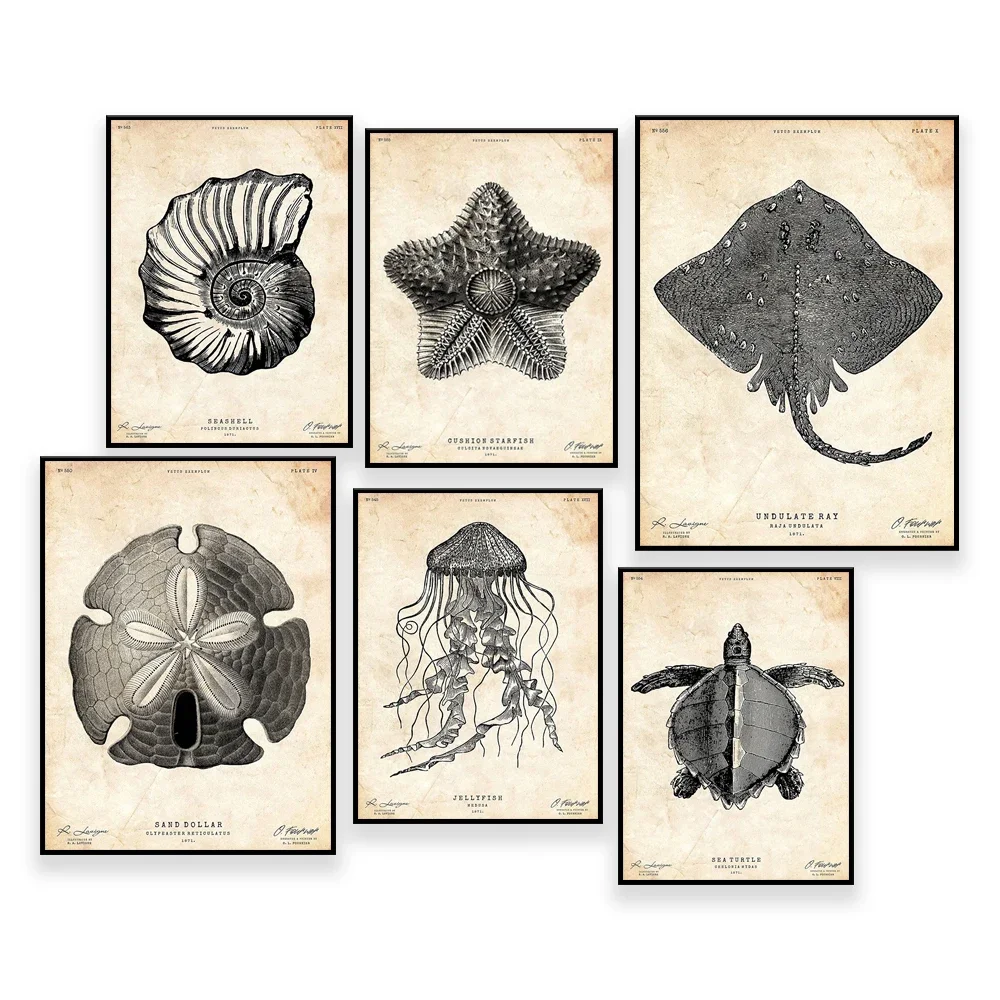 Sea Horse Print,Sta…