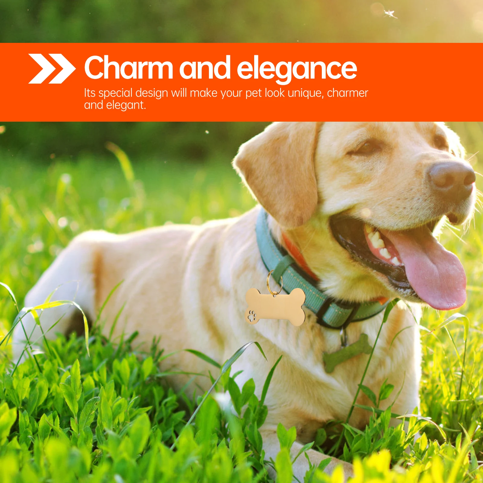 

1 set 1 Set Stainless Steel Dog Tag Engraved Id Name Hanging For Cat Puppy Personalized Pet Identity Tracker Pet Tags Accessory