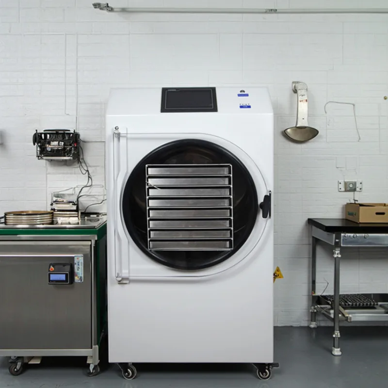 

10 кг, 12 кг, 8 лотков, автоматическая сушилка для пищевой промышленности, небольшая сушилка с насосом, оборудование для сублимационной сушки