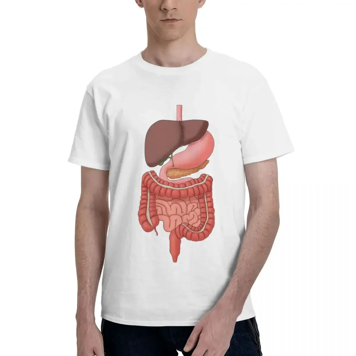 Digestive System Organs, Medical Illustration 100% Cotton T-shirt Men Oversized T Shirts Men crew Neck Short Sleeve S-6XL