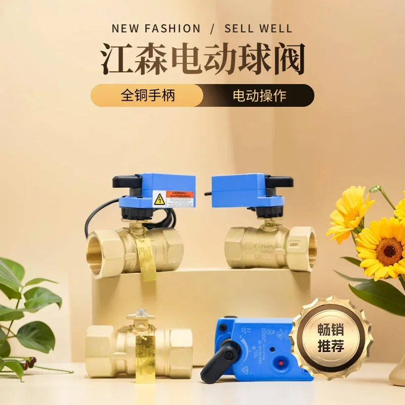 2026 Original Johnson Johnson VG1205ES-C+VA9104-GGA-1S Electric Two-way Regulating Ball Valve Free Shipping