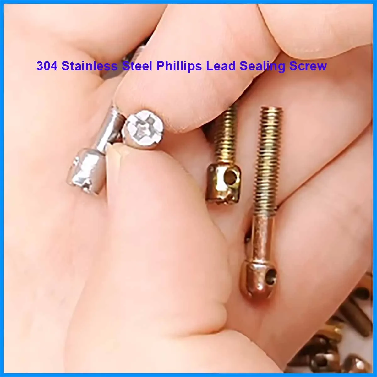 M3M4M5M6 304 Stainless Steel Cross Head Hole Seal Screw, Electric Meter Box Anti-Tamper Lead Sealing Bolt Security Fastener