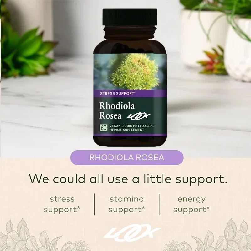 

Siberian Rhodiola - Traditionally Used To Support Healthy Endurance with 60 Vegetarian Capsules