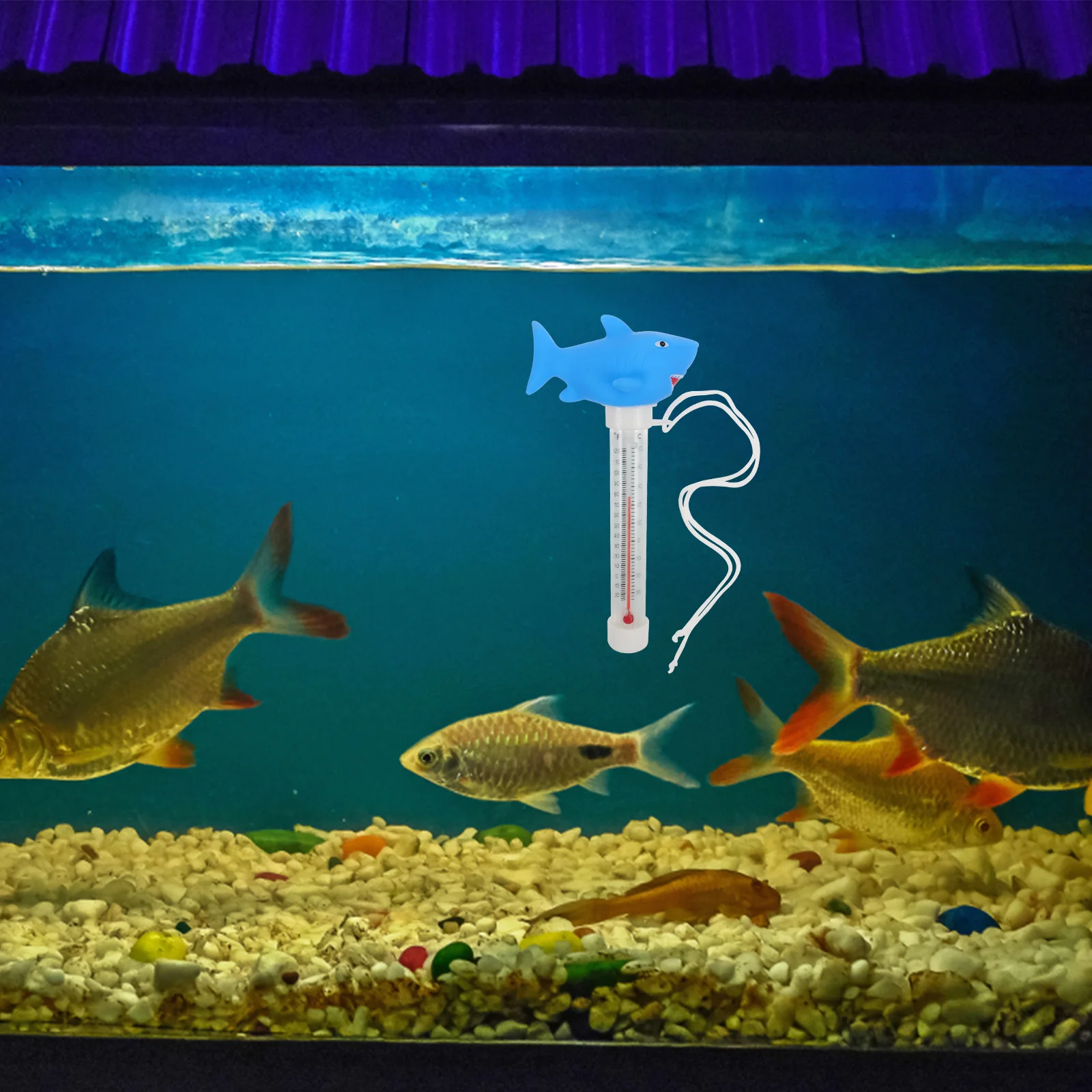 ميزان حرارة حوض السمك العائم، تصميم حيوان المحيط اللطيف، مقياس دقيق لدرجة حرارة الماء لحوض السباحة والزواحف #4