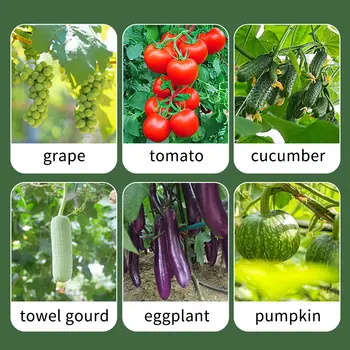 多功能農業綁紮機 藤蔓育苗工具 黃瓜藤蔓綁紮槍 農業多用途工具 8 最佳銷售 胡椒槍 - №5