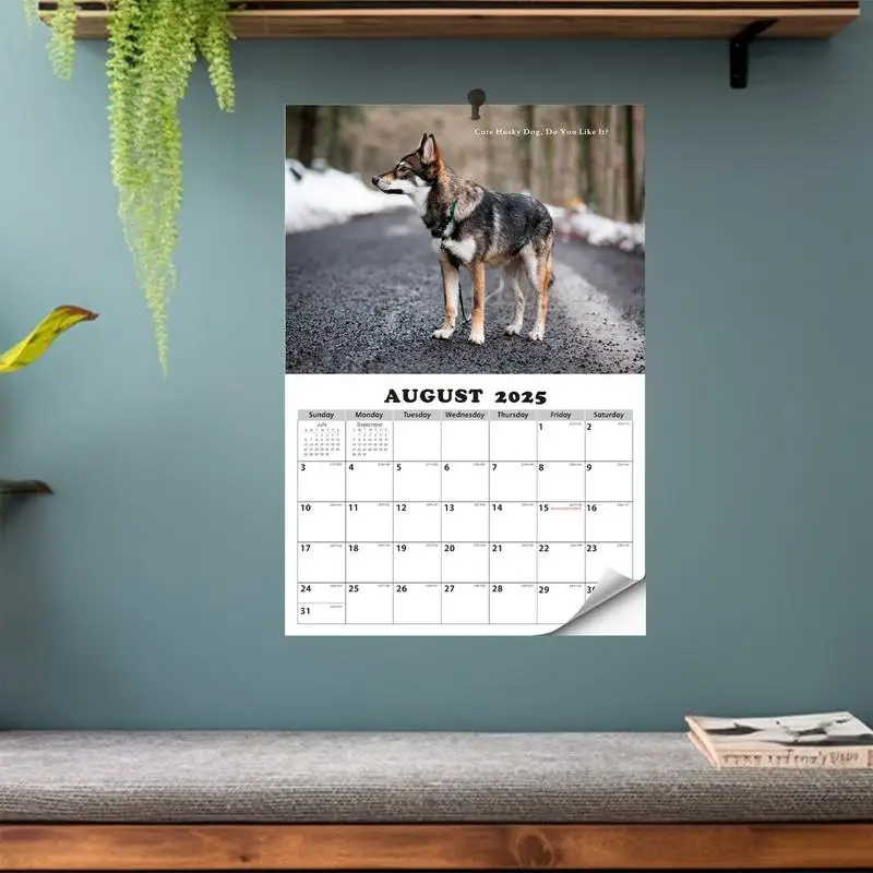 Lustiger Hund 2025, Wandkalender zum Aufhängen, Papier, einzigartiger Kalender, Geschenk für Freunde, Familienkalender für Zuhause, Hostel, Wohnzimmer