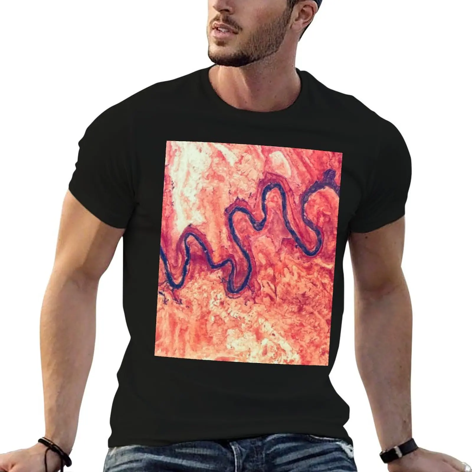 

San Juan River Tributary Utah Aerial Landscape T-Shirt anime tshirt man t shirts graphic T-Shirt