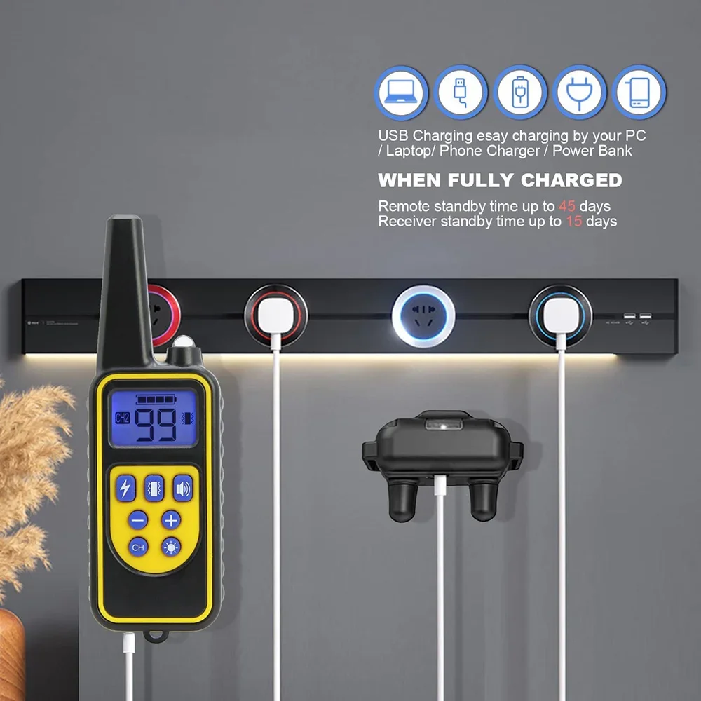 Thumbnail 4 - #54 Best Pet Collars to Buy In 2026