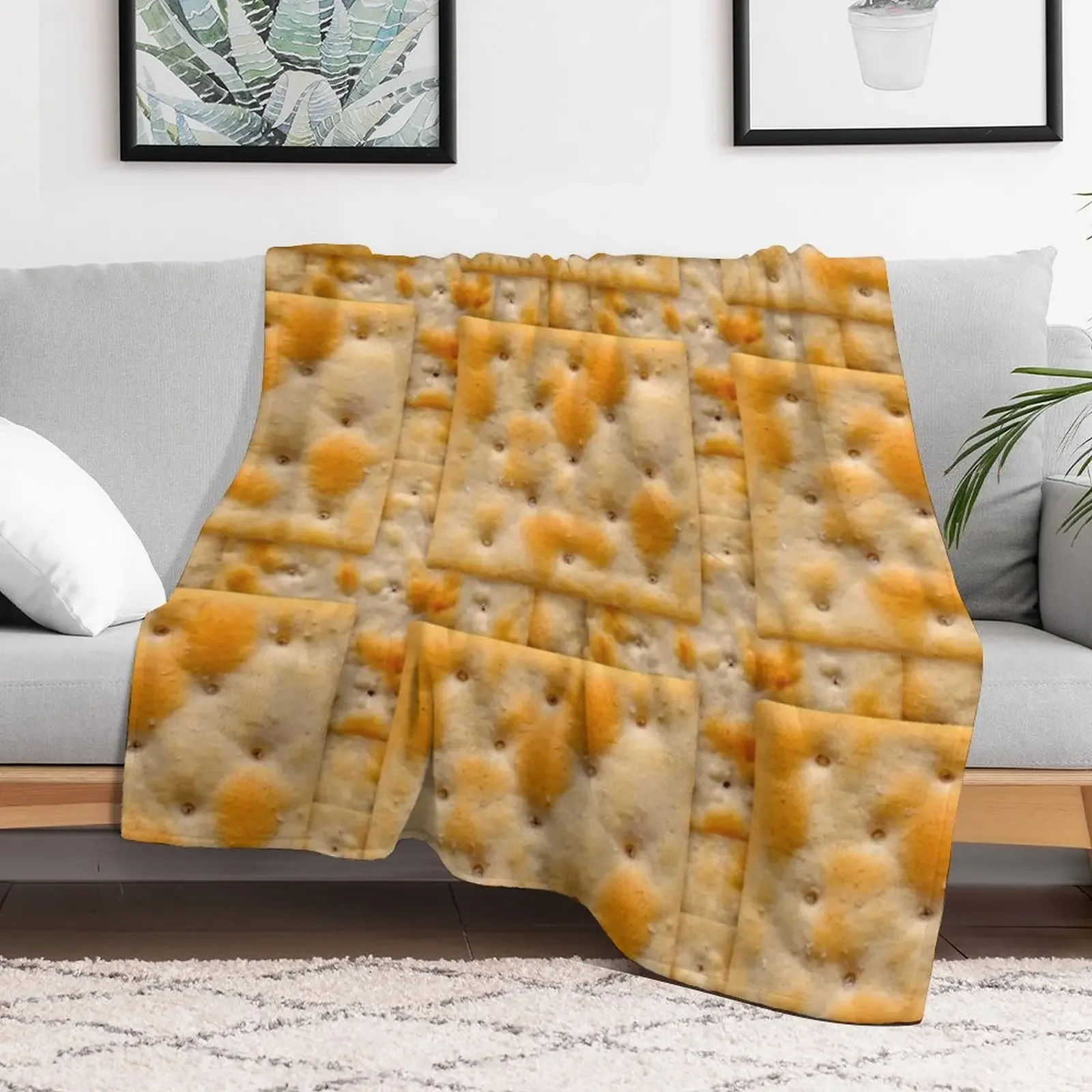 Salted Soda Crackers Food Photo Pattern Throw Blanket Cute Plaid for winter Flannel Blankets