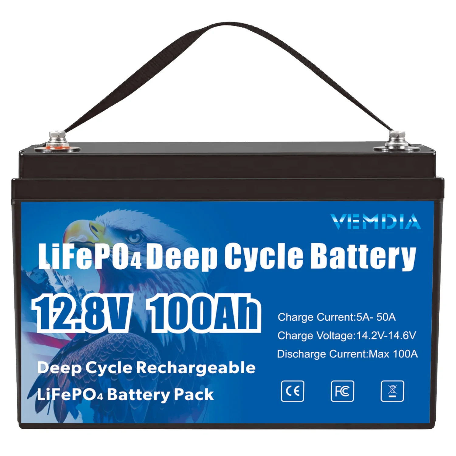 

Portable 12V 100Ah LiFePO4 Battery for Golf Cart Boat Solar System