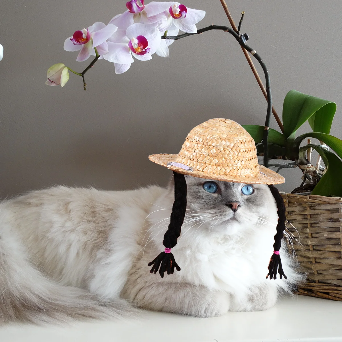 

Cat Straw Hat for Dogs Cute Costume Baby Pet Hats Woven Hand-knitted Manual