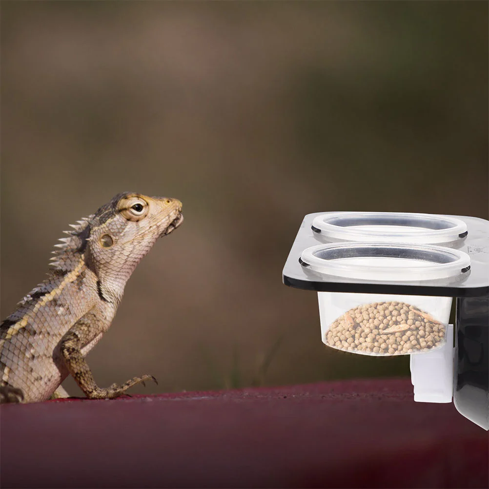 Reptile Bowl Water Feeder Food Feeding Gecko Dish Lizard Ledge Cup Basin Turtle Container Supplies Stable Feeders Worm Tank