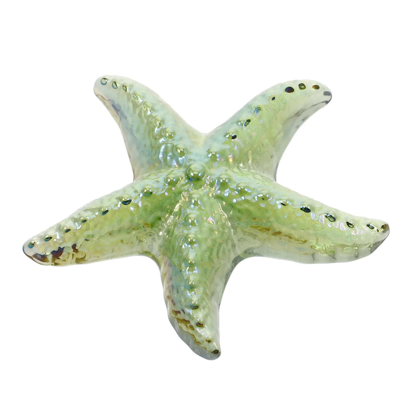 

Star Decor Exquisite Craftsmanship Lifelike Appearance Material Home Office Bedroom Decoration