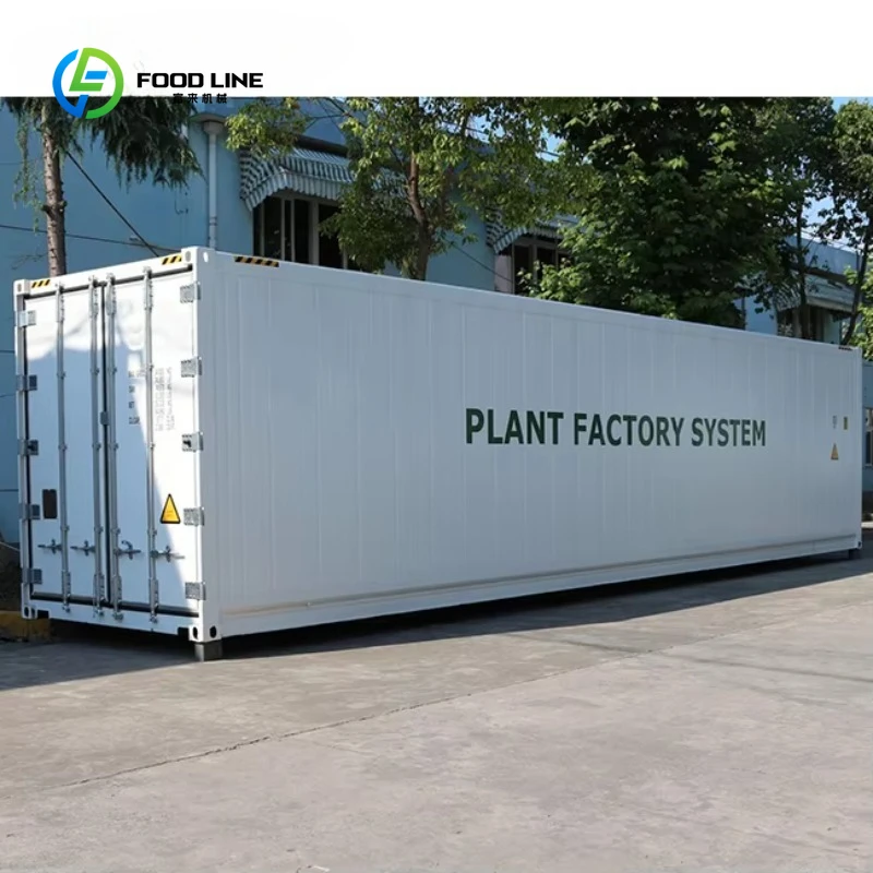 Customized 40ft Commercial Hydroponic Container Plant Factory For Leafy Vegetables And Sprouts