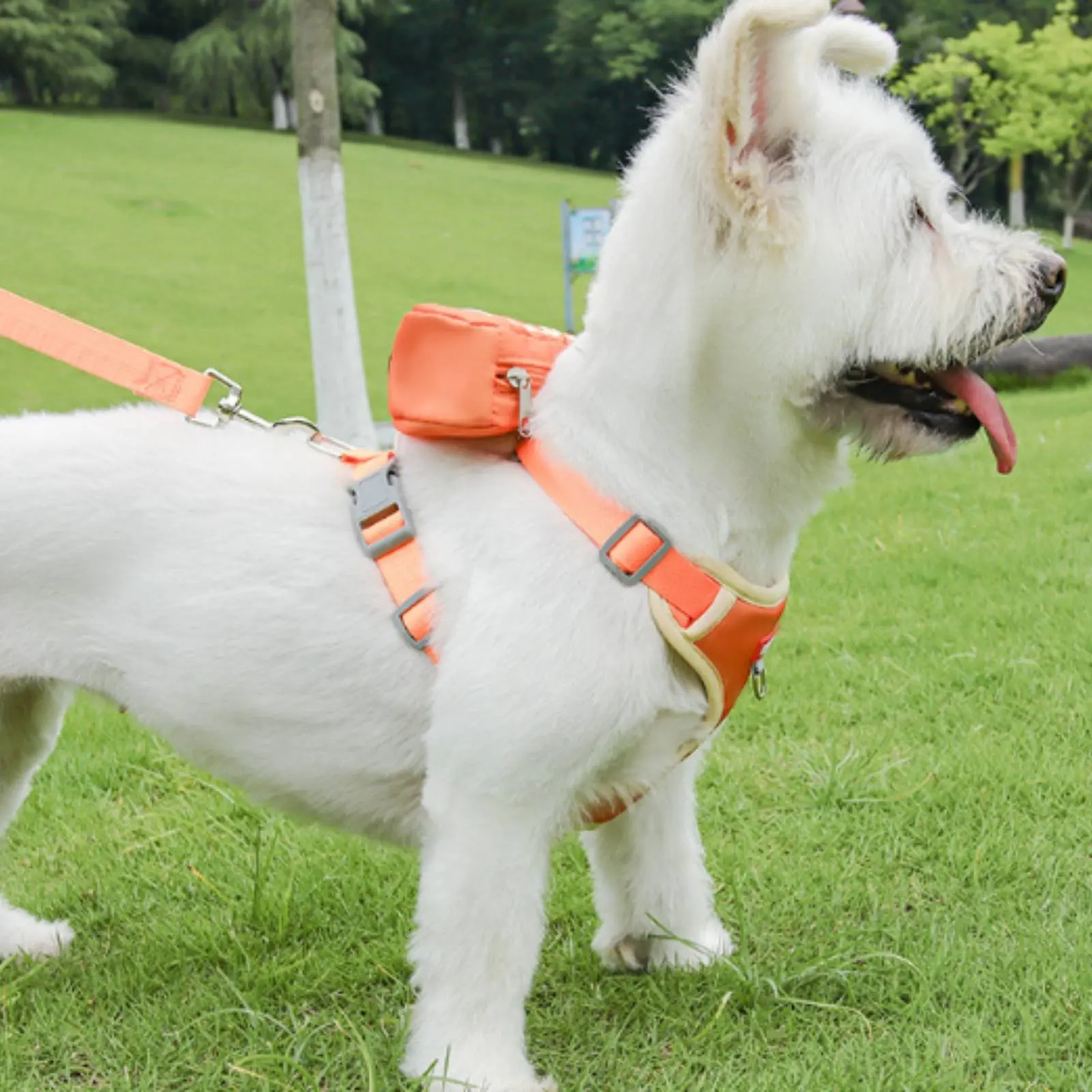 

Fruit Backpack Dog Harness Large Capacity Dog Backpack Harness Adjustable Straps Breathable for Young Dogs