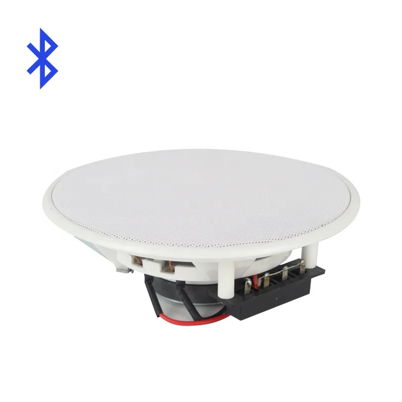 100V Passive Ceiling Speaker System for Background Music
