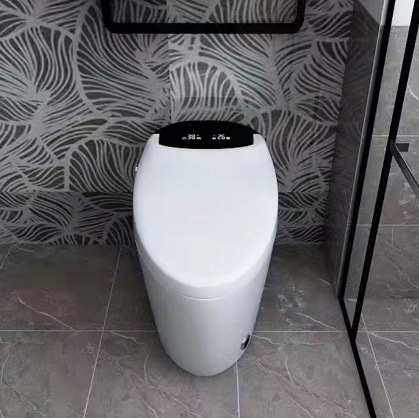 European Standard Bathroom Smart Sanitary Ware Automatic One Piece Intelligent Wc Toilet Bowl Electric Smart Toilet With Bidet